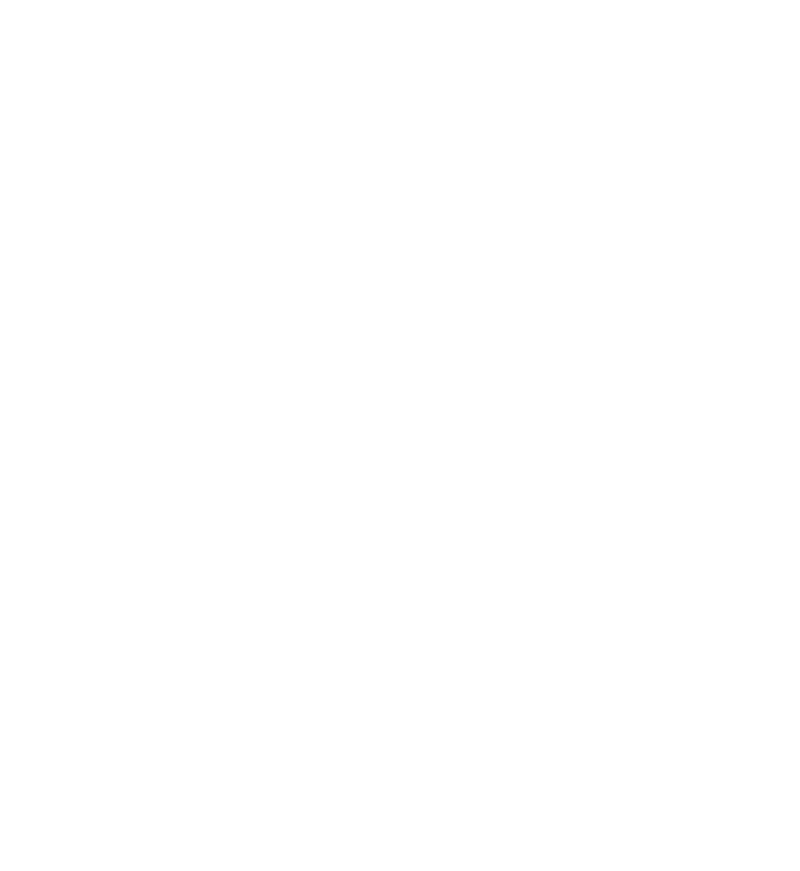 Body Image Specialist Logo